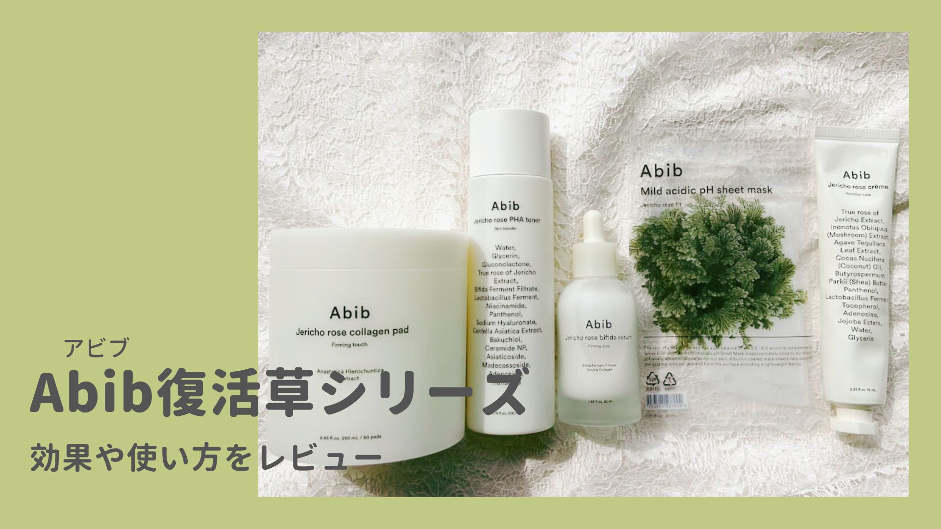 Abib 復活草　スキンケアセット Abib のスキンケア・基礎化粧品 復活草クリーム